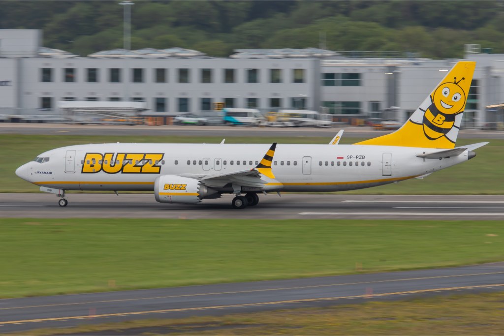 SP-RZB — Buzz