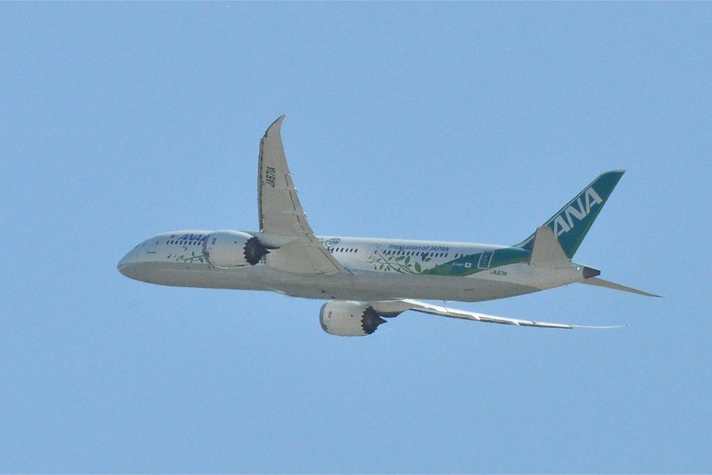 JA871A — All Nippon Airways