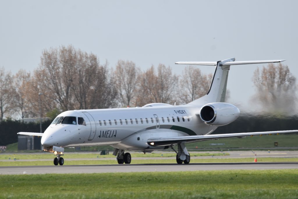 F-HOXY — Amelia International