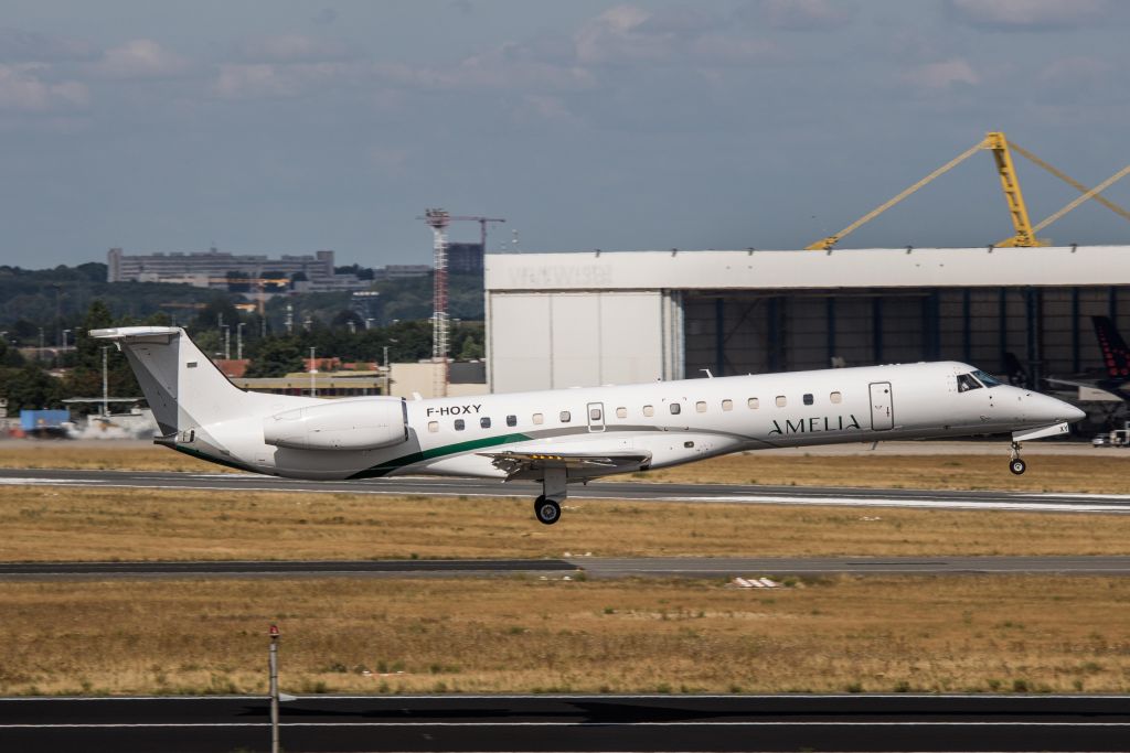 F-HOXY — Amelia International